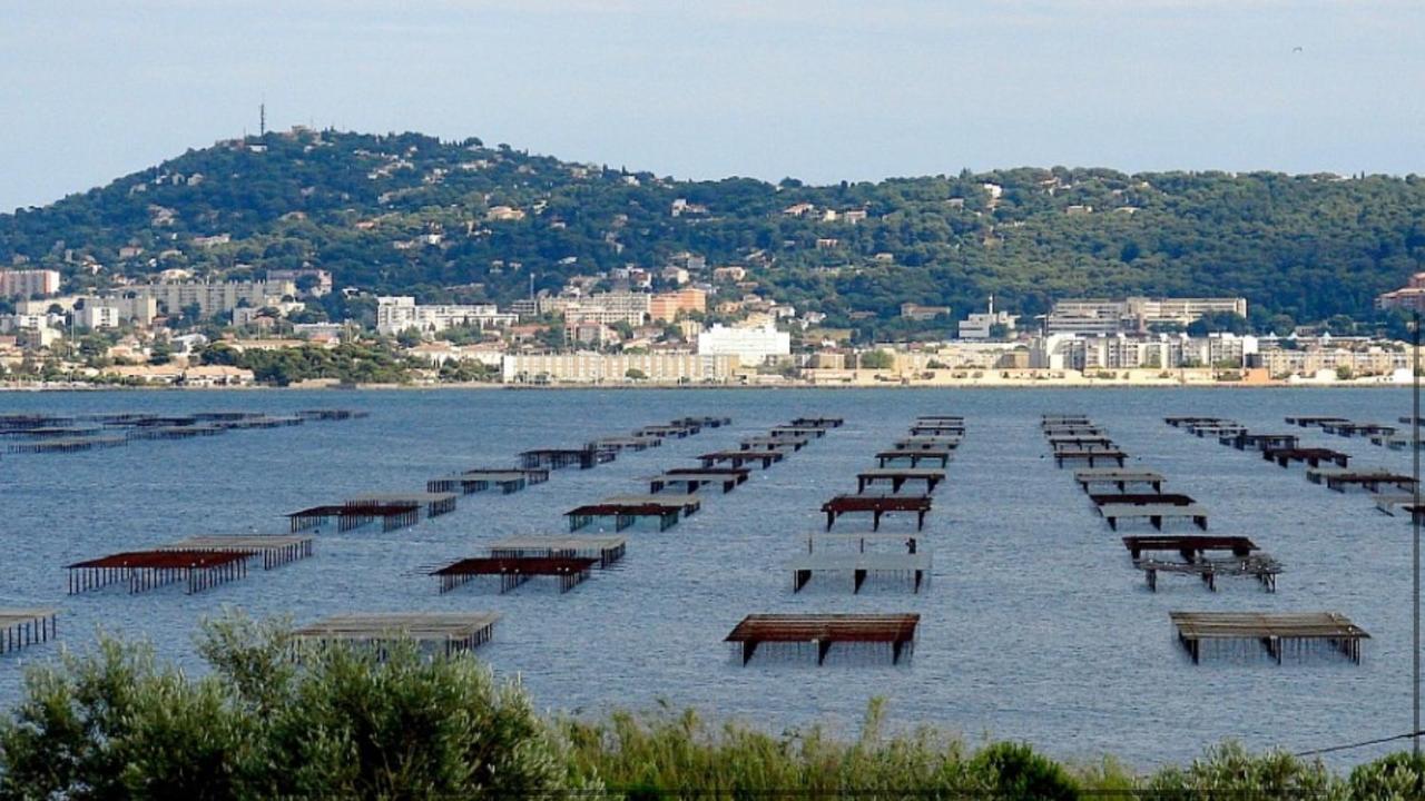 Sublime T2 Tout Confort A Sète Buitenkant foto